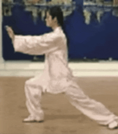 IMG_7975.gif
