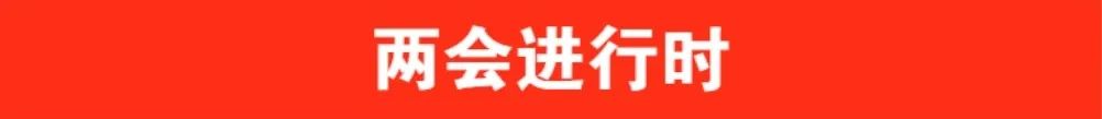 兩會進(jìn)行時(shí).jpg